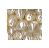 Champagne Oval Faceted Pearls 100pk