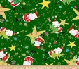 Happy Christmas Santa & Stars on Forest Fabric  2