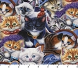 Kittens In The Closet Fabric  3