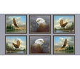 Majestic Eagles Patches on Grey Fabric Panel  2