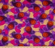 Moxie Paisley on Purple Fabric  2