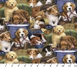Puppies In The Barn Fabric  3