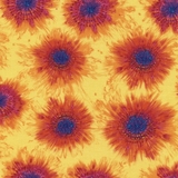 Spaced Multi Tie Dye on Yellow Fabric