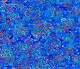 Zanzibar Paisley Stripe Multi on Royal Fabric